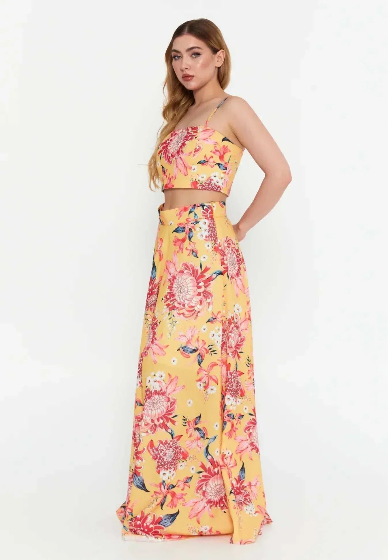 Crop Top and Maxi Skirt Set